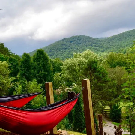 Hot Tub, Private, Rustic Elegance, Visit Barn Animals, Hammocks, 10Miles to Avl.