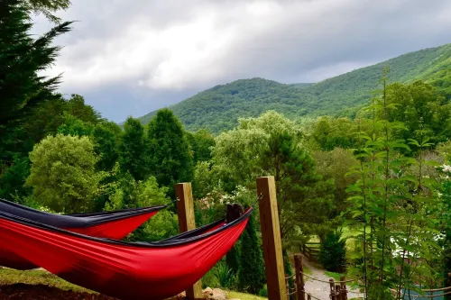 Hot Tub, Private, Rustic Elegance, Visit Barn Animals, Hammocks, 10Miles to Avl. - 샬레 호텔
