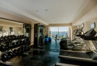 墨西哥普埃布拉安荷洛波里斯希爾頓花園酒店 - 健身室/gym room
