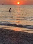 Peaceful Cottage/Private Parking & Backyard/Strong WiFi/Walk to Sheridan Beach!