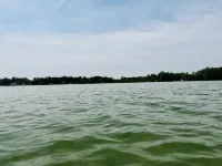 Immerse yourself with nature at this unique living tree-treehouse!