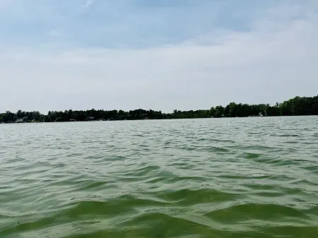 Immerse yourself with nature at this unique living tree-treehouse!