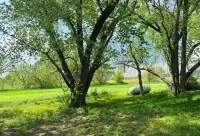 Sherwood Farmhouse: A Stylish Escape in Manhattan  – Your Home Away From Home!