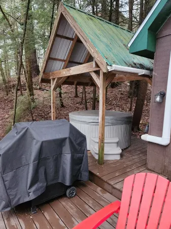 Tamarac Cabin at Colden Lodge Отели в г. Саранак Лейк