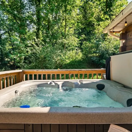 Best P. Forge Location Mins to Dollywood while private on a quiet Street