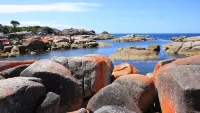 BINALONG BAY COTTAGE 2 bedrooms, 2 bathrooms, amazing views of Binalong Bay