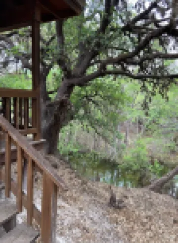 Creekside Cabin near Lost Maples State Park