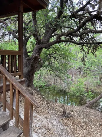 Creekside Cabin near Lost Maples State Park