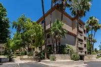 Super Host w/23 reviews on Airbnb! Fantastic Location- Biltmore Luxury Condo