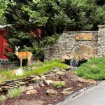 Log cabin near Blue Ridge & Murphy, fast wifi 👨‍👩‍👧‍👦 freindly 🛏️ 6 -🐶 & hot tub!
