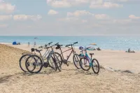 Updated, bright, and peaceful cottage in Lakeside Hotels in Chikaming Township