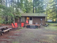 San Gregorio - A Cozy & Dog Friendly Forest Retreat