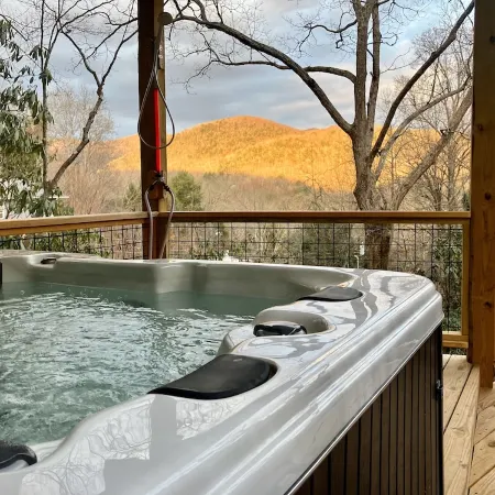 Rustic 1940's Appalachian Summer Cabin w/hot tub - Black Mountain