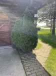Log Cabin Haus in Amish Country Shipshewana, Indiana