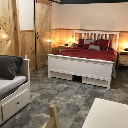 Alpaca Farmstay & Dark Skies, PA Wilds -Lumber Heritage  Region. Pet-Friendly!