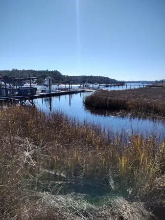 Cottage near Little River Waterfront.  Pets stay FREE! Отели в г. Литл Ривер