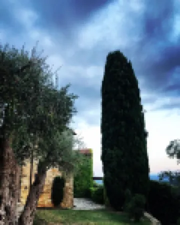 Romantic HideAway in an Old Olive Grove - EcoTourism - Huge Pool