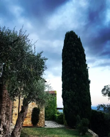 Romantic HideAway in an Old Olive Grove - EcoTourism - Huge Pool