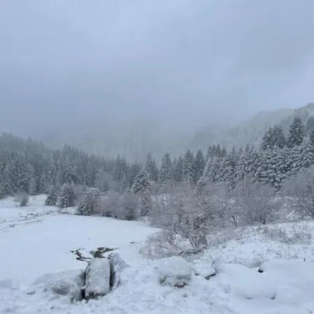 Appartement - Au Cœur du Lac Blanc