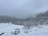 Appartement - Au Cœur du Lac Blanc