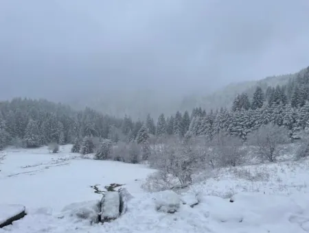 Appartement - Au Cœur du Lac Blanc Отели в г. Орбе