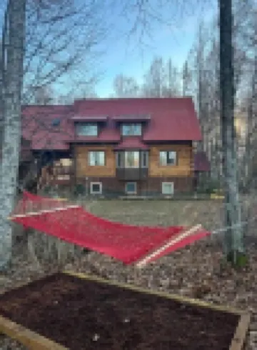 Eye of Denali: Denali View/River Front