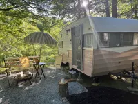 Upstate Catskills Beautiful 1963 Vintage Camper "Rosa"