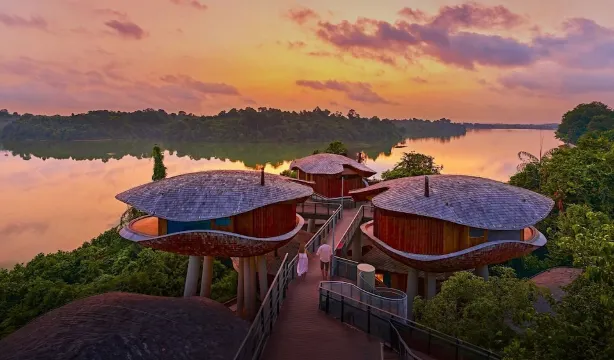 マンダイ レインフォレスト リゾート バイ バンヤンツリー 最新特別