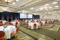 Hilton Naples Hotels in Pelican Bay