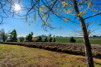 Big Tiny Home with Panoramic Views at Buena Vista Lavender Farm Hotels in Marion County