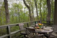 🌲Roaring Fork Chalet: MTN View, Hiking, Waterfalls, Trails - Dog Friendly!🐕‍🦺