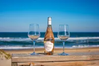 Your Very Own Writer's Retreat Awaits You! Directly on Ocean & Well Stocked!