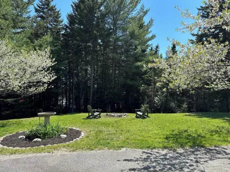 Walk to Acadia Trails - Flying Mountain Apartment