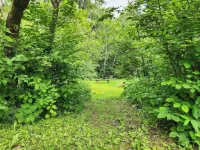 Little House by the Brook