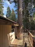 4 master insuites + tree/play house. 2 kings,5 queens, 2 twins