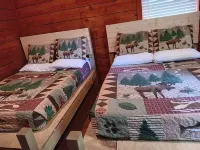 Cabin 3 - Rustic Mountain Cabin - Up to 4 persons