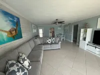 Dolphin & Manatee At Your Back Door!!