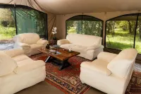 Hammerkop Migration Camp Hotels in Mara