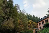 Waldhotel Albachmühle Mit Albacher Stuben Hotels in Ayl