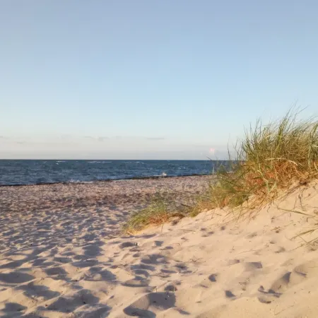 Ferienwohnung in Zierow Nahe Meeresstrand