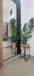 Cozy 35m2 Apartment in Central Skopje