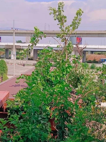 รูปภาพของคอนวีเนียน รีสอร์ท