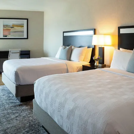 Delamar Traverse City