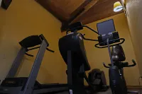 丹尼爾斯山峰山林小屋 - 健身房