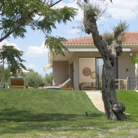 Elaia Grove