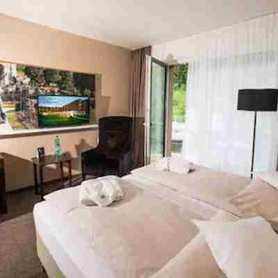 阿爾貝國王酒店 Rooms