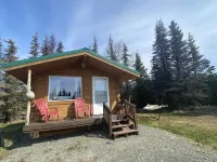 Cute & Cozy Cabin @ Moose Tracks Lodging