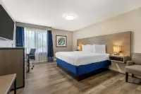 Best Western Plus Lewisville Flower Mound Hotel a Lewisville