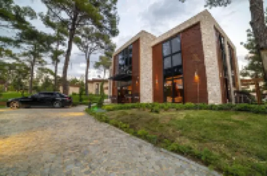 Marisstone Hotel 酒店