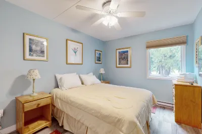 Mountain Condo with Three Pools, Hot Tub, Tennis, Game Room & Gym فنادق في Warren